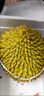 【金枕爆漿A級果】泰國進(jìn)口金枕鮮榴蓮當季新鮮果肉飽滿(mǎn)軟糯香甜 泰國金枕凈重2-3斤(單果）保三房 曬單實(shí)拍圖