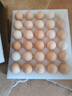 京鮮生 無(wú)抗保潔鮮雞蛋30枚/盒 健康輕食 禮盒送禮 1.5kg/盒 源頭直發(fā) 曬單實(shí)拍圖