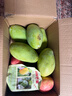 【爆甜】正宗越南金煌芒特大芒果甜心芒水仙芒大青芒應季新鮮水果 大果 2斤帶箱單果200g起(3-5個(gè)) 曬單實(shí)拍圖