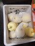 京鮮生甘肅黃元帥蘋(píng)果 凈重4斤 單果170g+  生鮮水果源頭直發(fā) 曬單實(shí)拍圖