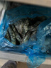 鮮京采 鮮凍大號黑虎蝦 去冰凈重2斤 31-40只/盒 斑節對蝦 曬單實(shí)拍圖
