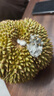 京喜加正宗泰國新鮮榴蓮10斤進(jìn)口水果帶殼鮮果金枕頭巴掌榴蓮 【壞果包賠】?jì)糁?~4斤單果 曬單實(shí)拍圖