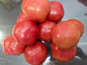 京覓山東普羅旺斯西紅柿 凈重4.5斤裝單果90g+ 沙瓤番茄源頭直發(fā) 曬單實(shí)拍圖