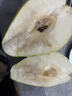 源自新疆紅香酥梨新鮮梨子3/5/10斤脆甜皮薄梨子應季水果整箱批發(fā) 帶箱10斤【凈重9斤】特級裝 曬單實(shí)拍圖