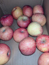 京鮮生 洛川蘋(píng)果陜西紅富士?jì)糁?.5斤80-85mm單果200g+新鮮水果源頭直發(fā) 曬單實(shí)拍圖