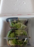 一號農場(chǎng)活力蔬菜沙拉碗6種蔬菜開(kāi)盒即食輕食健身代餐160g*3碗源頭直發(fā) 曬單實(shí)拍圖