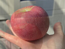 佳農 新疆阿克蘇冰糖心蘋(píng)果8斤 單果200-250g 生鮮水果 曬單實(shí)拍圖