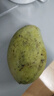 玖原農珍 源頭直采青皮金煌芒果當季現摘優(yōu)選甜心芒果 新鮮水果 含箱5斤凈重4.5斤優(yōu)選級果 曬單實(shí)拍圖