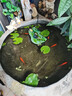 采緹（CAITI）水碗蓮一葉蓮 帶花苞睡蓮荷花大號小葉迷你水生家用睡蓮碗蓮花 大葉10-15公分3片 不含盆 曬單實(shí)拍圖