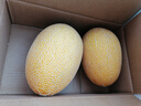 京鮮生 海南黃金哈密瓜 1粒裝 單果3斤起  生鮮水果   曬單實(shí)拍圖