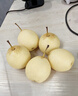 京喜加趙州水晶鴨梨新鮮水果產(chǎn)地直發(fā)【三】單果180g 鴨梨帶箱2斤特惠裝（單果160g+） 曬單實(shí)拍圖