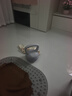 Keep軟膠壺鈴女生提壺啞鈴全身塑形練手臂提臀瘦腰減肚子氧氣紫6KG 曬單實(shí)拍圖