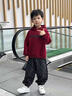 粉筆末端男童秋季套裝2026新款酷帥兒童裝長(cháng)袖衛衣秋款男孩皮衣馬甲三件套 紅色三件套（衛衣+褲子+馬甲） 110 曬單實(shí)拍圖