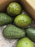 山姆大叔 金獎·哈斯牛油果【閃送】智利鱷梨非即食新鮮牛油果水果禮盒裝 【鼻祖級】巨無(wú)霸丨約150-180g 6枚【熱銷(xiāo)* 超值推薦】普裝 曬單實(shí)拍圖