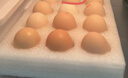 新鮮鮮雞蛋富硒雞蛋農家雜糧喂養早餐溏心蛋生鮮超市買(mǎi)菜50g 高營(yíng)養富硒雞蛋10枚 曬單實(shí)拍圖