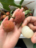 三萌果蔬桂花香荔枝【JD/順豐-空運直達】海南新鮮荔枝桂花味水果禮盒送禮 【爆款】金獎·臻選大果丨單果16-20g 3斤【80%選擇丨熱銷(xiāo)超劃算】?jì)糁?.5斤 曬單實(shí)拍圖