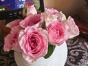 【仙氣滿(mǎn)滿(mǎn)】洛神玫瑰10枝 曬單實(shí)拍圖