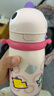 babycare兒童保溫杯嬰兒吸管水杯水壺不銹鋼保溫杯上學(xué)450ml-新舊款混發(fā) 曬單實(shí)拍圖