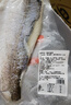 鮮京采三去海鱸魚(yú)3斤/3條 生鮮魚(yú)類(lèi) 白蕉鱸魚(yú)地標 年貨家宴魚(yú)類(lèi)源頭直發(fā) 曬單實(shí)拍圖