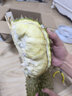 京喜加泰國進(jìn)口老樹(shù)甲侖榴蓮當季新鮮水果巴掌榴蓮軟糯香甜巴掌榴蓮包郵 甲侖榴蓮凈重4-5斤（單果包4房） 曬單實(shí)拍圖