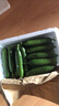 京鮮生 山東荷蘭水果黃瓜 凈4.5斤 單果70g+ 健康輕食早餐蔬菜 源頭直發(fā) 曬單實(shí)拍圖