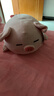 名創(chuàng  )優(yōu)品（MINISO）小豬B-BO彈力超柔趴姿公仔毛絨玩具玩偶抱枕靠枕娃娃生日禮物女 曬單實(shí)拍圖