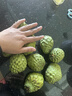 壹萌果蔬釋迦果新鮮鳳梨釋迦果番荔枝佛頭廣西熱帶水果節日送禮 2斤精品果【單果150g+】?jì)?.8斤 曬單實(shí)拍圖