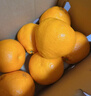 【整箱】四川耙耙柑整箱2.5kg 曬單實(shí)拍圖