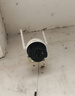 海爾（Haier）無(wú)線(xiàn)家用攝像頭手機遠程監控器360度無(wú)死角帶夜視全景語(yǔ)音農村室外高清wifi戶(hù)外防水旋轉球機 曬單實(shí)拍圖