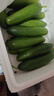 京鮮生 山東荷蘭水果黃瓜 凈4.5斤 單果70g+ 健康輕食早餐蔬菜 源頭直發(fā) 曬單實(shí)拍圖