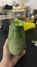 京鮮生山東羊角蜜甜瓜 凈重4.5斤起 單果300g+ 水果源頭直發(fā)包郵 曬單實(shí)拍圖