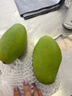 【爆甜】正宗越南金煌芒特大芒果甜心芒水仙芒大青芒應季新鮮水果 大果 2斤帶箱單果200g起(3-5個(gè)) 曬單實(shí)拍圖