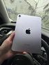 Apple/蘋(píng)果 iPad mini (A17 Pro) 8.3英寸 平板電腦(256G WLAN版/mini7/MXNE3CH/A)紫色 曬單實(shí)拍圖