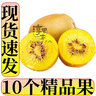 淳果一木 黃心獼猴桃 黃金奇異果金果獼猴桃奇異果 新鮮水果 生鮮 水果 10個(gè)精選果 單果70-110克 曬單實(shí)拍圖