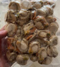 我愛(ài)漁 冷凍帶膏(黃)扇貝肉500g 曬單實(shí)拍圖