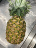 佳農 菲律賓進(jìn)口菠蘿 2個(gè)裝 鳳梨 單果凈重2斤 生鮮水果源頭直發(fā) 包郵 曬單實(shí)拍圖