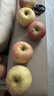 同甘園新疆冰糖心蘋(píng)果 丑蘋(píng)果 應季新鮮水果富士蘋(píng)果 送禮推薦 整箱9-10斤精選好果 75-90 凈8.5斤 曬單實(shí)拍圖