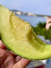 京鮮生 海南哈密瓜 西州蜜/西周蜜 1粒 單果2.5斤起 生鮮水果 曬單實(shí)拍圖