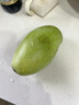 余悅海南金煌芒 【多地次日達】新鮮現摘水仙大芒果青皮甜心芒果整箱 帶箱5斤【精選好果丨單果300-350g】?jì)?.5斤 曬單實(shí)拍圖