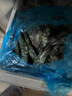 鮮京采 鮮凍大號黑虎蝦 去冰凈重2斤 31-40只/盒 斑節對蝦 曬單實(shí)拍圖