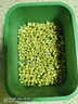 幸福屯生芽專(zhuān)用豆 芽黃豆 芽綠豆 芽黑豆雙青豆500g 發(fā)芽率高豆芽 芽黃豆500克*2袋 曬單實(shí)拍圖