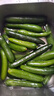 新鮮水果小黃瓜健康輕食山東脆甜無(wú)刺青瓜當季新鮮蔬菜 5斤（凈重4.5斤） 曬單實(shí)拍圖