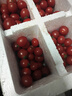 【超市品質(zhì)】新鮮水果圣女果小番茄孕婦兒童即食零食生鮮水果 帶箱 5斤 紅色圣女果 曬單實(shí)拍圖