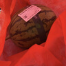 藤上熟吊秧小西瓜1粒1.5kg 曬單實(shí)拍圖