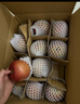 阿克蘇蘋(píng)果新疆阿克蘇冰糖心蘋(píng)果 當季應季新鮮時(shí)令水果整箱紅富士丑蘋(píng)果 10斤【精品中大果】單果150g+ 凈重8.5斤 曬單實(shí)拍圖