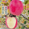 【產(chǎn)地直采】甘肅秦安霜降富士蘋(píng)果2.5kg  單果165g+ 曬單實(shí)拍圖