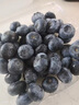 蒲戀京榜藍莓云南L25花香藍莓水果孕婦新鮮現摘高山應季熱帶時(shí)令鮮果 4盒【單果16mm+】125g/盒(凈100g)* 曬單實(shí)拍圖