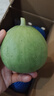 京鮮生 綠寶香瓜甜瓜  凈重3斤 4-6粒裝 生鮮水果 曬單實(shí)拍圖