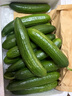 京鮮生 山東精品嫩水果黃瓜 凈重4斤 單根70g+ 荷蘭小青瓜 源頭直發(fā) 曬單實(shí)拍圖