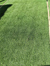 仿真草坪地毯人工假草坪塑料綠色陽(yáng)臺戶(hù)外幼兒園鋪墊庭院人造草皮 【環(huán)保新料】2cm加密春草 1米寬*2米長(cháng) 曬單實(shí)拍圖
